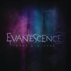 Evanescence : What You Want